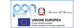pon logo rettangolare